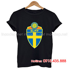 In áo đội tuyển Thụy Điển EURO 2016