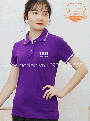 In áo phông Lớp 12D 84-87 trường Công nghiệp A - Hà Đông
